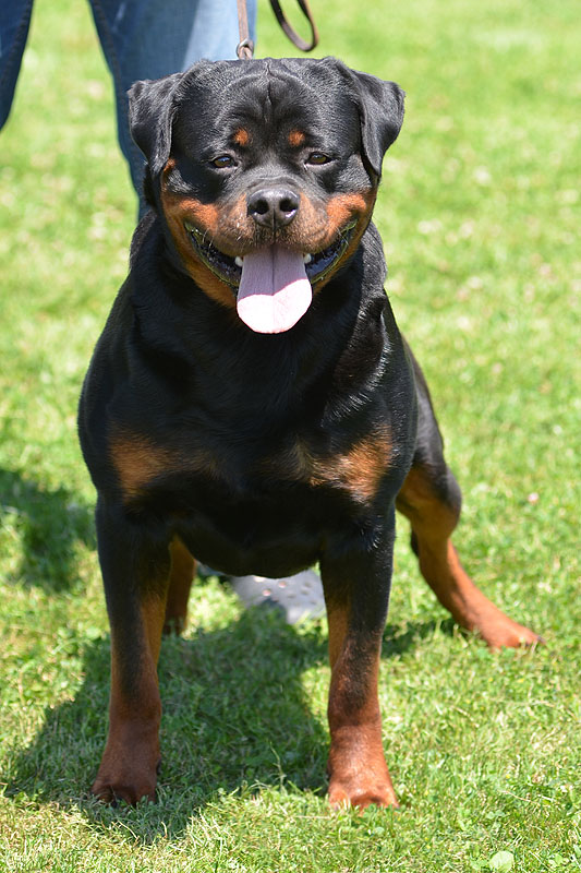 Yumbo von der Alten Festung Yumbo von der Alten Festung